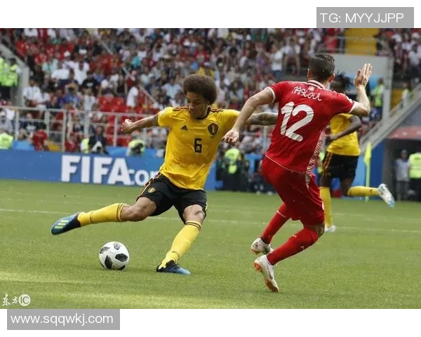 比利时与突尼斯世界杯精彩对决录像回放及精彩瞬间分析